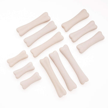 Yellow Door YUS1038 Dinosaur Bones Discovery Set (Pack of 12)