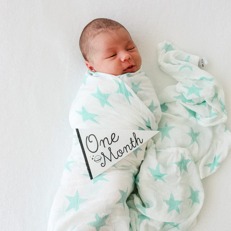 Lucy Darling Baby Milestone Pennants - 12 Felt Banners for Newborn Photography, White, Model PP00-VAR, Perfect Baby Shower Gifts
