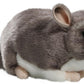 Chinchilla 8.5 Inches, 12 Inches With Tail, 23Cm, Plush Toy, Soft Toy, Stuffed Animal 3040