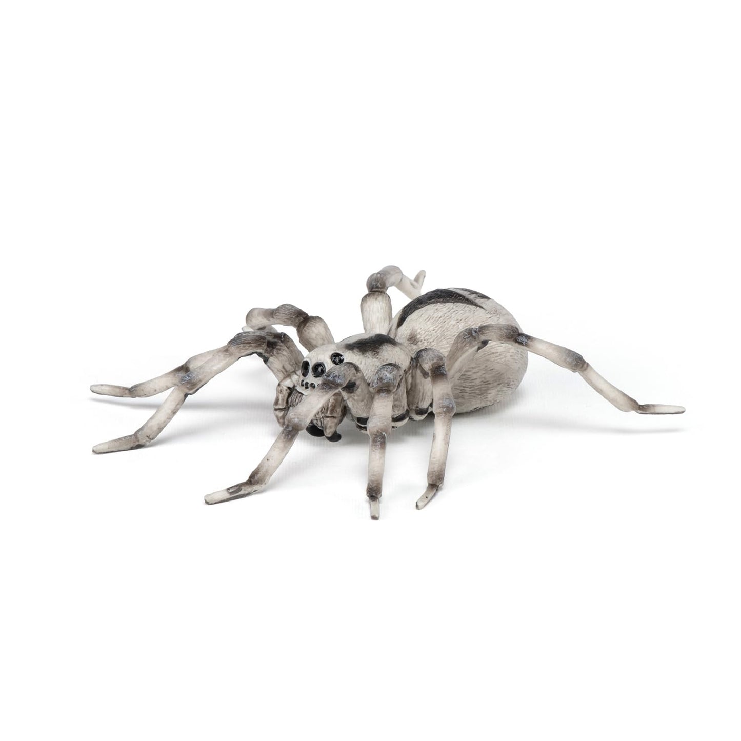 Papo -Hand-Painted - Figurine -Wild Animal Kingdom - Tarantula -50190 -Collectible - For Children - Suitable For Boys And Girls- From 3 Years Old