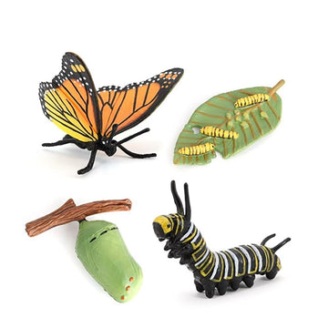 Butterfly Growth Cycle, Animal Growth Cycle Biological Model, Growth Stage Lifelike Butterfly Life Cycle Model Set For Kids Educ