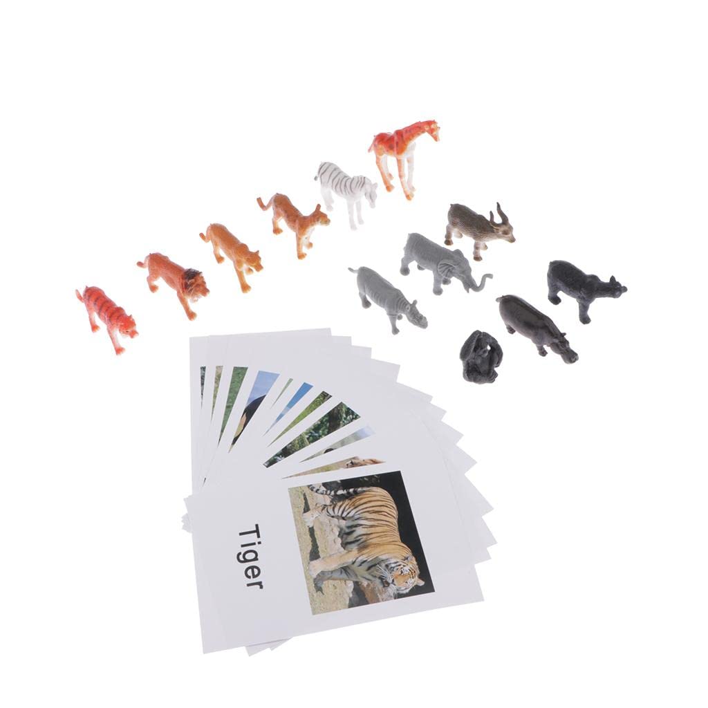 Calandis Education Toy Wild Animal Group Model Naming Cards For Montessori Education