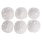 Sand Dollar | Real Sand Dollars 3 to 3 1/2 (Set of 6) | Sand Dollar Shells | Plus Free Nautical eBook by Joseph Rains