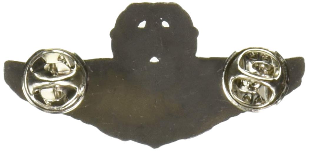 Eagleemblems P16541 Wing-Usaf,Pilot,Master (2'')