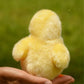 TAMMYFLYFLY Yellow Chick Stuffed Animal Plush Toy, 5 inches, Cotton, White