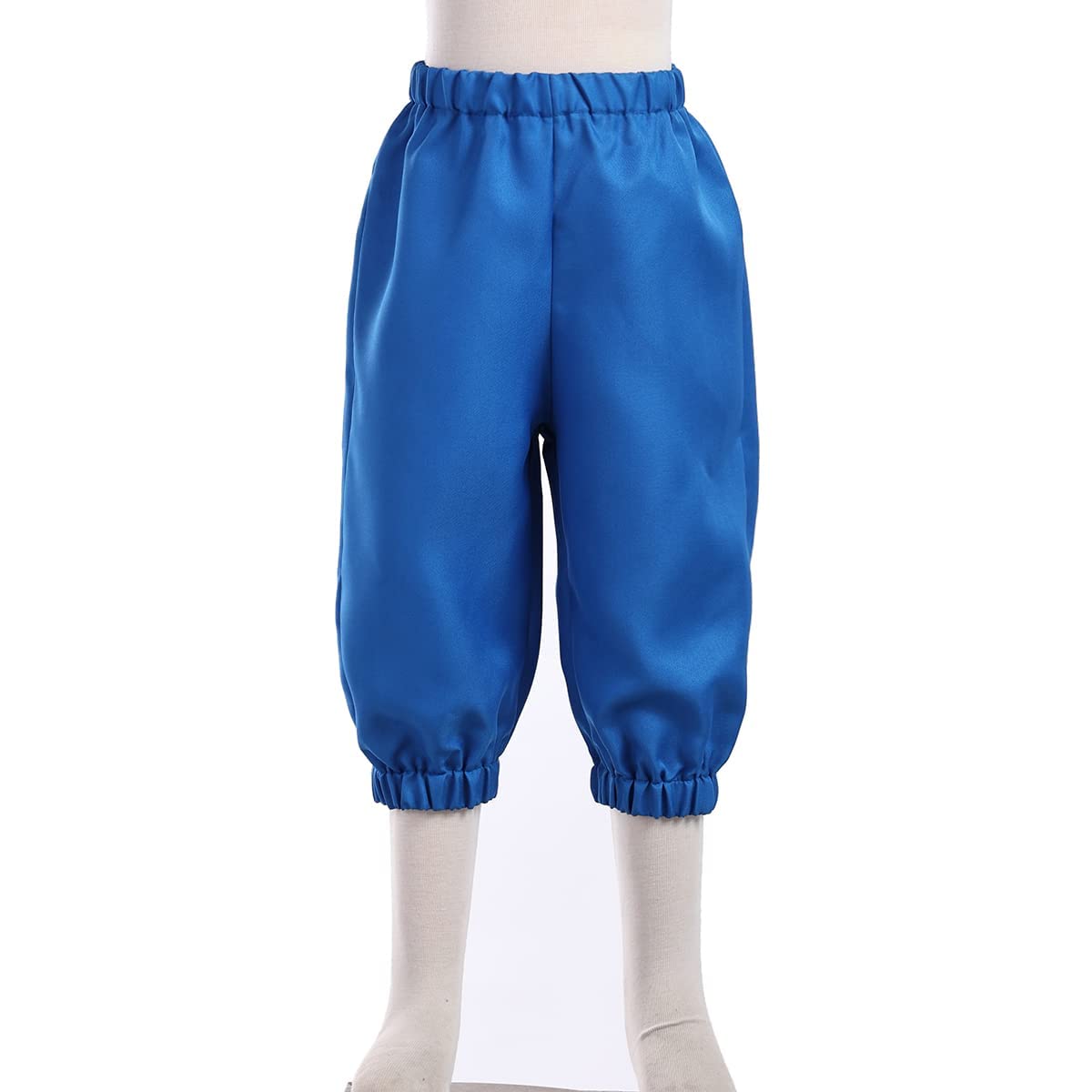 BPURB Boys Colonial Costume 18th Century Colonial Pilgrim Costume Boys Knicker Pants Blue