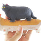4 Fat Stretchy Cat Crushed Bead Sand Filled - Kitty Lover Sensory Fidget Toy Weighted (4 Fat Cats (All 4 Colors))