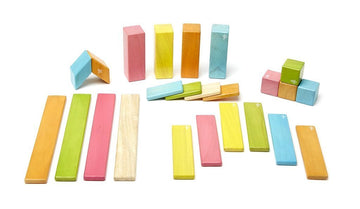 Magnetische Houten Blokkenset - 24 Stuks - Tints