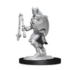 D&D Nolzur'S Marvelous Miniatures: Kalashtar Cleric Female