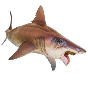 Pnso Prehistoric Animal Models (43 Haylee The Helicoprion)