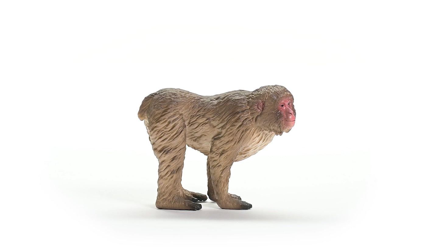 Schleich Wild Life New 2024 Wild Animal Toy Japanese Macaque Figurine