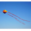 Besra Rainbow Parafoil Kite With 5M Long Tails Single Line Parachute Kite Easy To Fly Outdoor Fun Sports(34Inch)