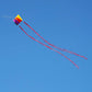 Besra Rainbow Parafoil Kite With 5M Long Tails Single Line Parachute Kite Easy To Fly Outdoor Fun Sports(34Inch)