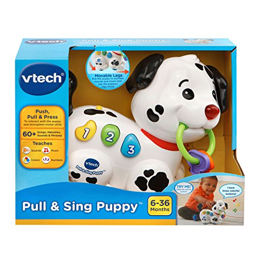 Vtech Pull And Sing Puppy