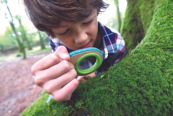 Hape Nature Detective Set| Bamboo & Plant Plastic Detective Playset, Nature Exploration Toys For Outdoor Games
