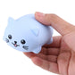 Dilwe Musical Scale Cat, Touch Sensitive Music Piano Learning Funny Toy With Packing Box(#1) Car