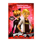 Miraculous Ladybug Superhero Adrien with Cat Noir Outfit, Multi Color, Plastic, Model 50358