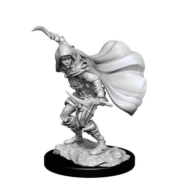 Pathfinder Deep Cuts: Human Rogue Female
