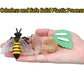 Montessori Life Cycle Animal Figures With Flash Cards, Realistic Animal Figurines Toy, And Educational Matching Game For Kids (P