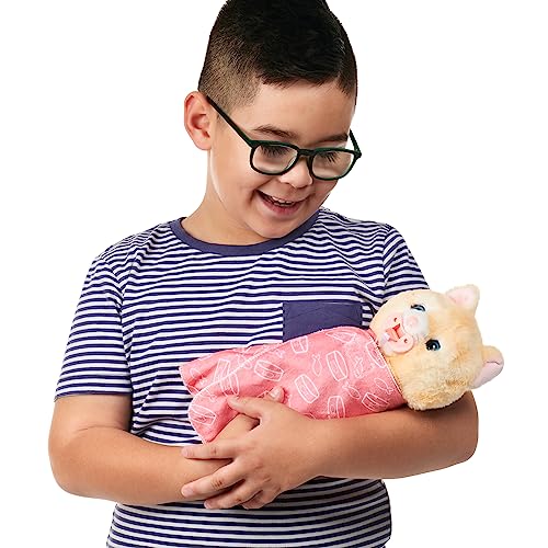 Little Live Pets Cozy Dozys Ginger the Kitty - Interactive Plush Toy with 25+ Sounds, Magical Eye Movement, Includes Blanket & Pacifier, Ages 4+
