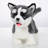 Electronic Walking Siberian Husky Stuffed Dog Toy, Realistic Interactive Puppy Pet Dog, Walking, Barking,Wagging Tail & Talking,