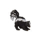 Collecta Woodlands Skunk Miniature Toy Figure - Authentic Hand Painted Model