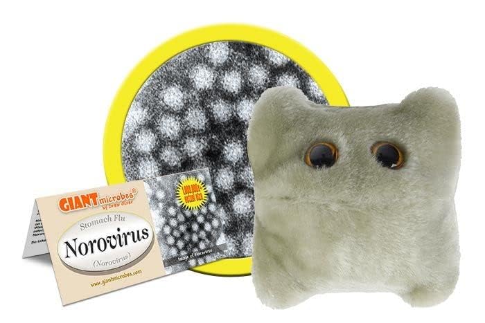GIANTmicrobes Norovirus Plush Toy - Educational Gift for Biology & Health - Model GMD0540