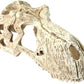 Komodo T-Rex Skull Terrarium Decoration