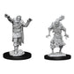 D&D Nolzur'S Marvelous Miniatures: Scarecrow & Stone Cursed