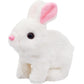 Areeney Hopping Walking Bunny Toy for Baby Kids