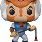Funko - Thundercats - Tygra Speciality Month Pop Figurines 10 Cm - 0889698222211