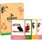 Educational Animal Flash Cards For Kids Ages 26 I Educational Toddler & Preschool Vocabulary Builder | Fun Gift For Boys & Girl