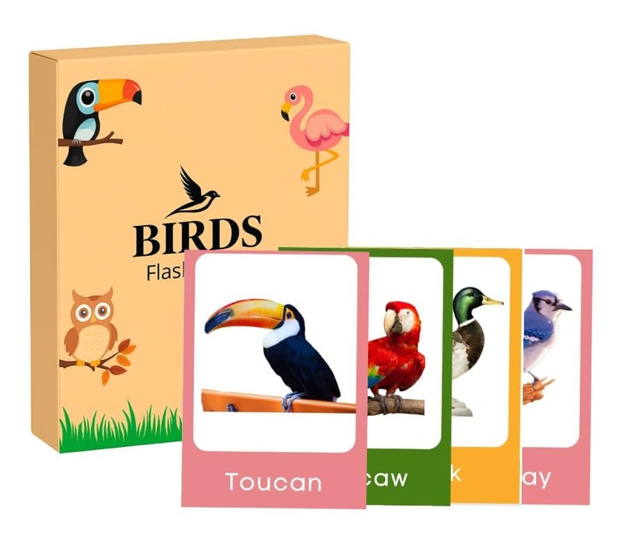 Educational Animal Flash Cards For Kids Ages 26 I Educational Toddler & Preschool Vocabulary Builder | Fun Gift For Boys & Girl