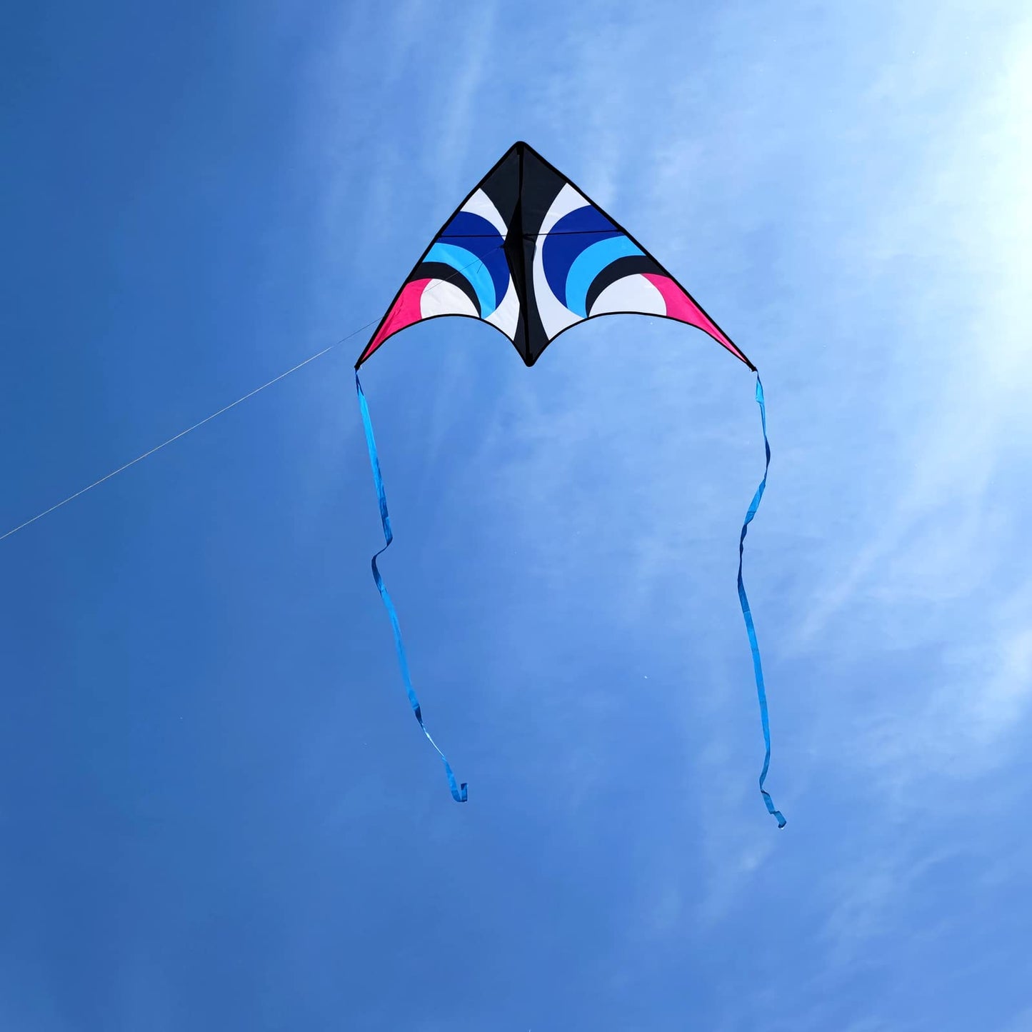 Kaiciuss Delta Kite For Kids & Adults Easy To Fly Large, Sing Line Beach Kite For Beginners, Easy Flying Kite For Boys & Girls With 4 Ribbon And 300 Ft String Kite Handle