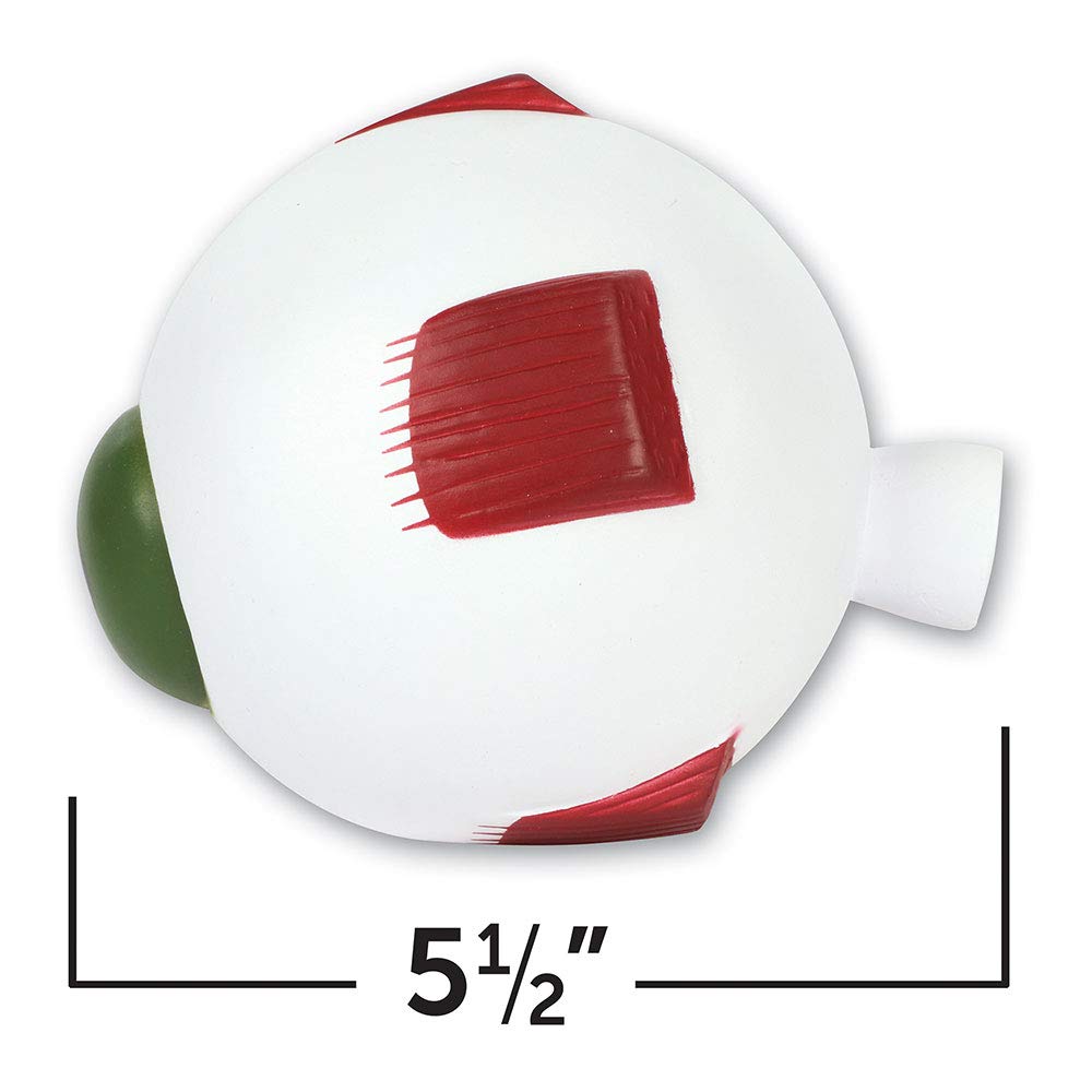 Learning Resources Cross-Section Human Eye Model, 5" Diameter, Foam, Multi-color, Grade 2+, Model LER1907