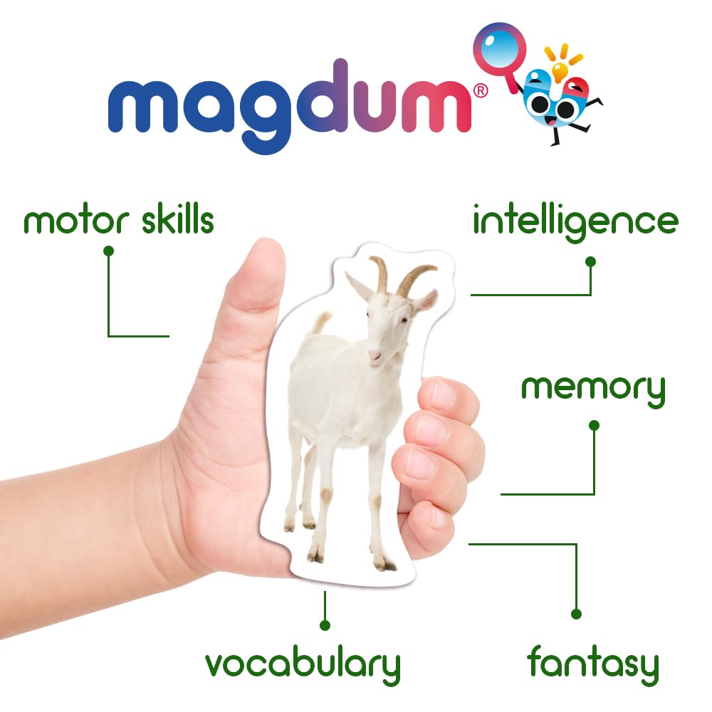 18 Fridge Magnets For Toddlers Magdum - Mom And Baby Kids Magnets For Fridge - Toddler Magnets For Refrigerator - Magnetic Animals - Fridge Magnets For Kids - Animal Magnets - Toddler Fridge Magnets
