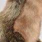 Hansa Ferret Plush, Brown