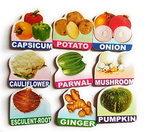 Futurez Key Wooden Magnetic Vegetables Name Cards/Multicolour Flash Card For Kids/Attractive Shape With Vegetables Name (24 Pi