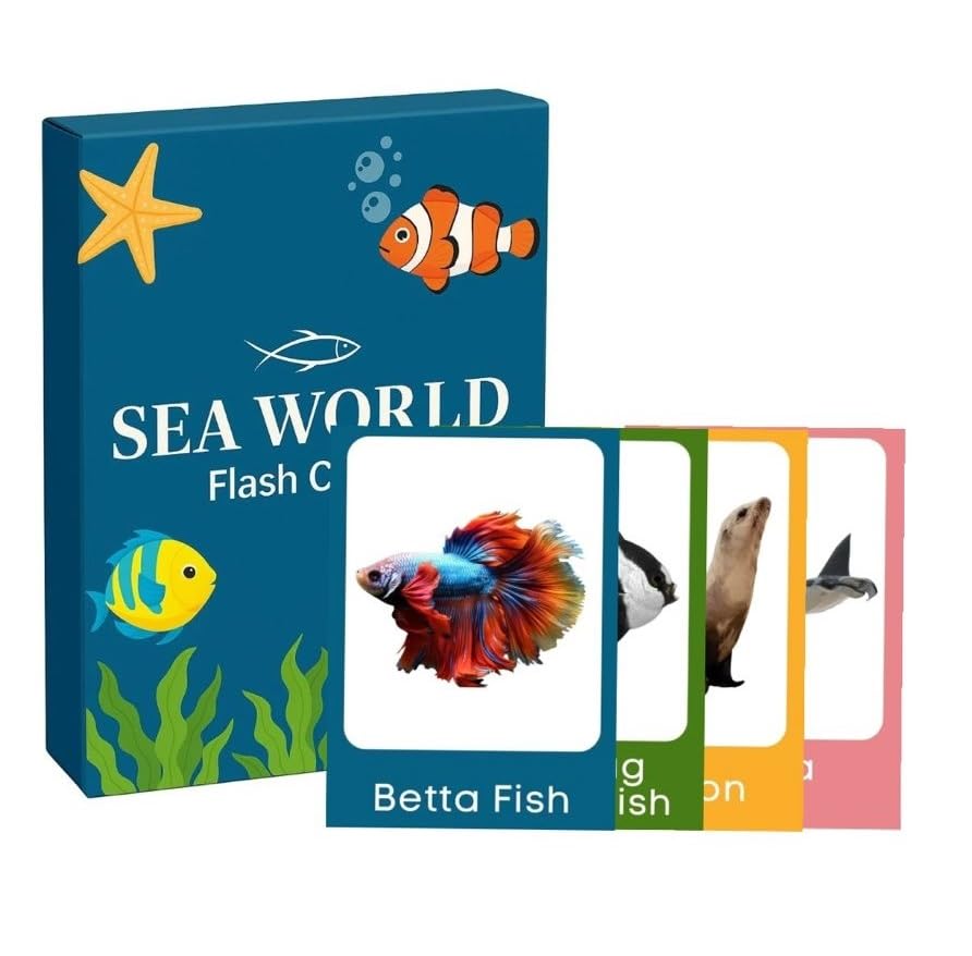 Sea World Flash Cards For Kids Ages 26 I 30 Realistic Ocean Animal Learning Cards | Educational Toddler & Preschool Vocabulary 