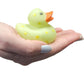 Cool Rubber Ducks (2') Standard Size. (12 Pack) Cute Duck Bath Tub Pool Toys. (Multi-Color Pattern Rubber Squicky Duckies)