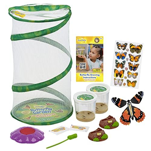 Insect Lore Butterfly Garden 8'' Habitat Gift Set | 10 Live Baby Painted Lady Caterpillars | Includes Caterpillars, Food, 3D But