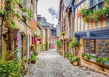 Puzelworx 1000 Piece Jigsaw Puzzle Educational Puzzle Family Game Gift For Adults And Kids (Nice Street View)
