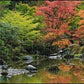 Heye Hy29859 Puzzle, Various