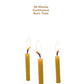 Beeswax Candle Works, 5-Inch Birthday Candles (Pack of 24) 100% USA Beeswax
