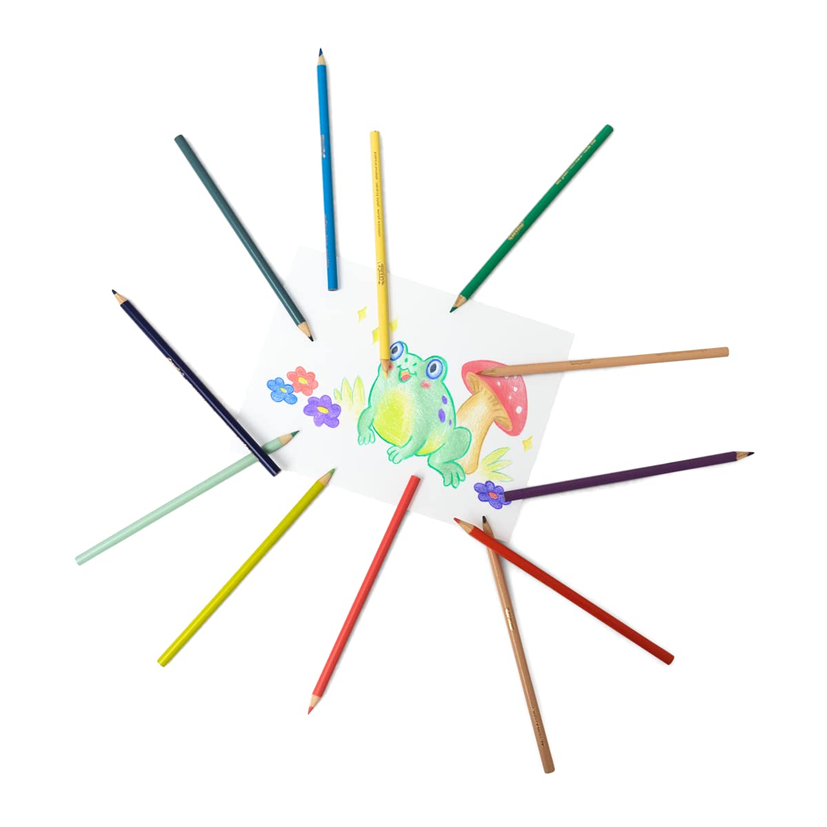 Crayola Pastel Drawing Pencils, Pack of 12, Assorted Colors, Wood Material, Model 68-3366