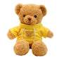 Biubiulove Teddy Bear Stuffed Animal, Soft Cuddly Stuffed Plush Bear, Gifts For Kids Baby Toddlers On Baby Shower, Valentine'S D