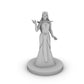 Human Female Wizard With Raven Dress Tabletop Dnd Gaming Miniature