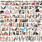 The World Of Cats