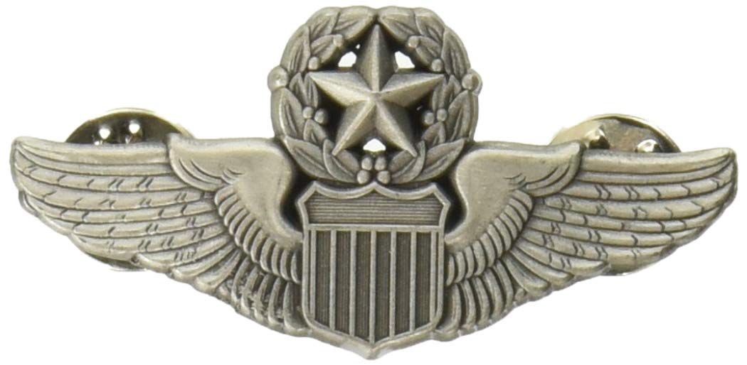 Eagleemblems P16541 Wing-Usaf,Pilot,Master (2'')