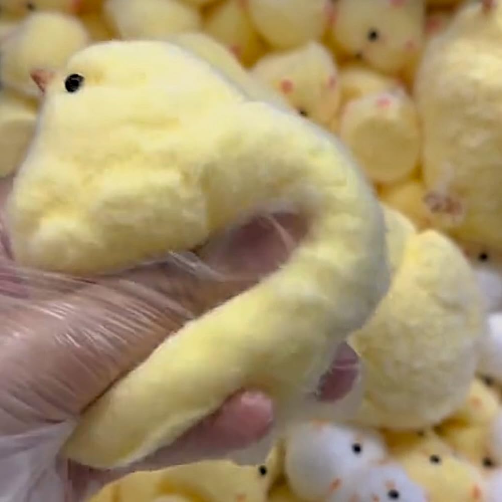 1Pcs Handmade Squishy Chick Soft Squishy Fidget Toys Silicone Squeeze Toys For Stress Relief ( Chicken ) (1Pcs)